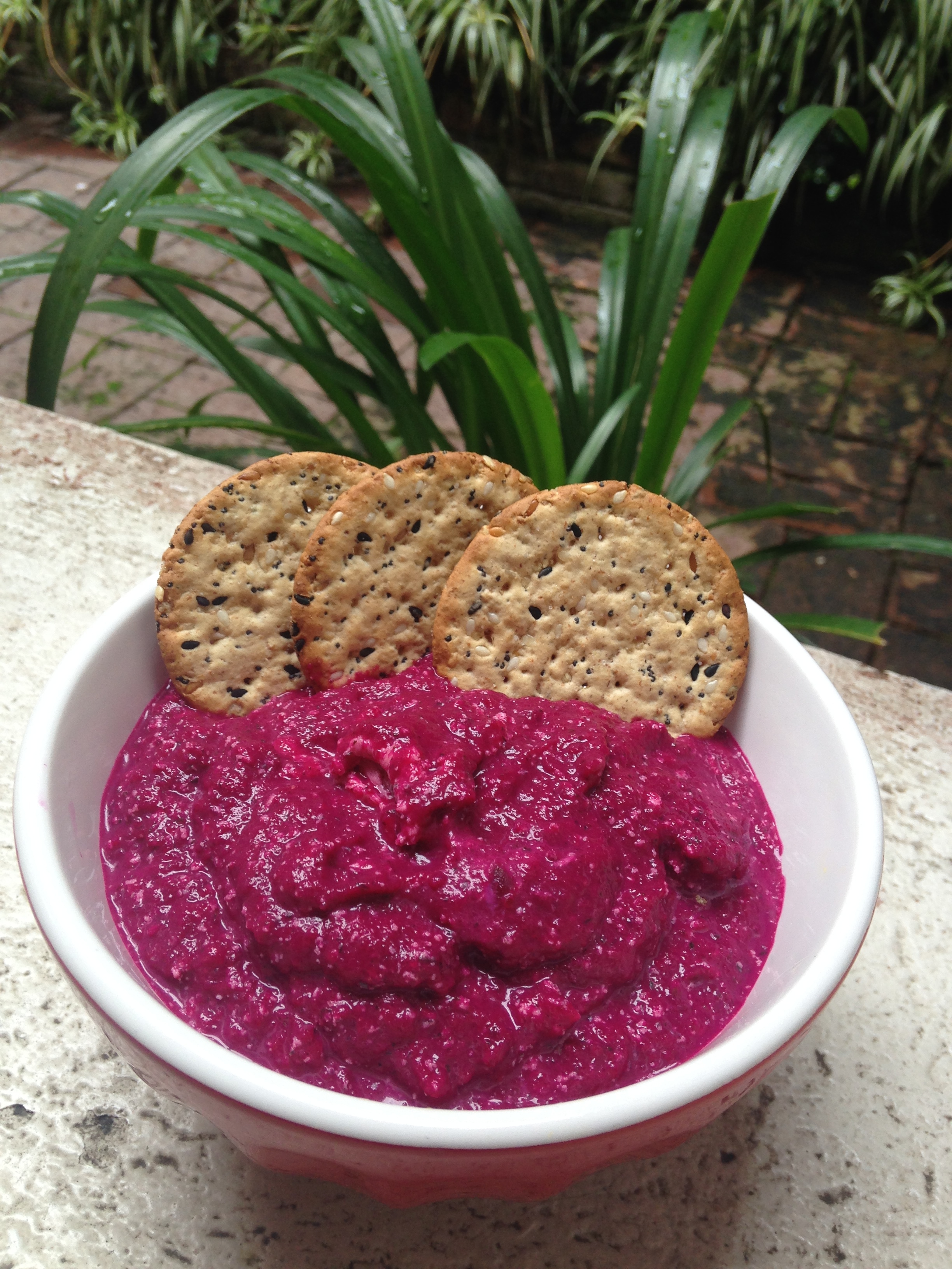 Beautiful beetroot dip another recipe from Bread and Spread