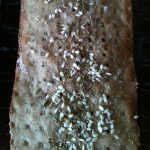 all you knead is bread by jane mason